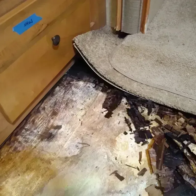 Best Wood Floor Water Damage Service in Central City, IL